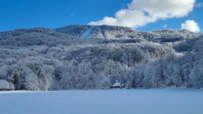 Mogosa Village Baia Sprie